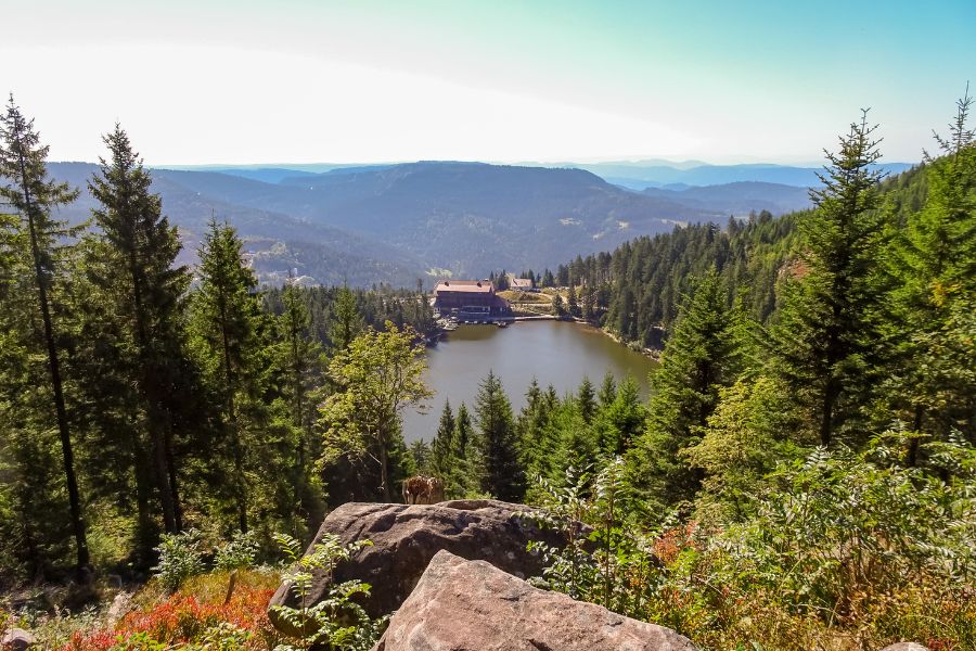 romantische Plätze im Schwarzwald: Mummelsee