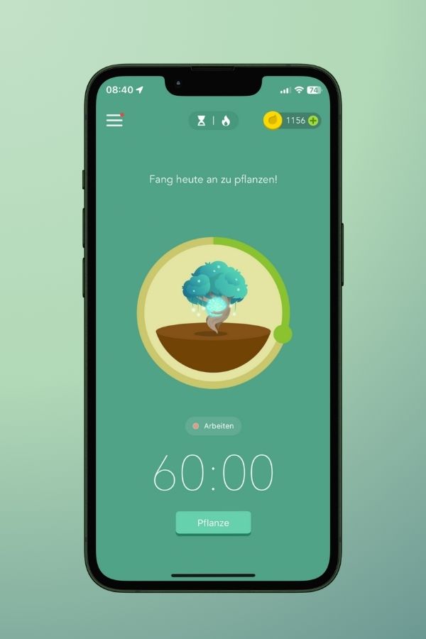 Pflanze einen Baum und behalte den Fokus