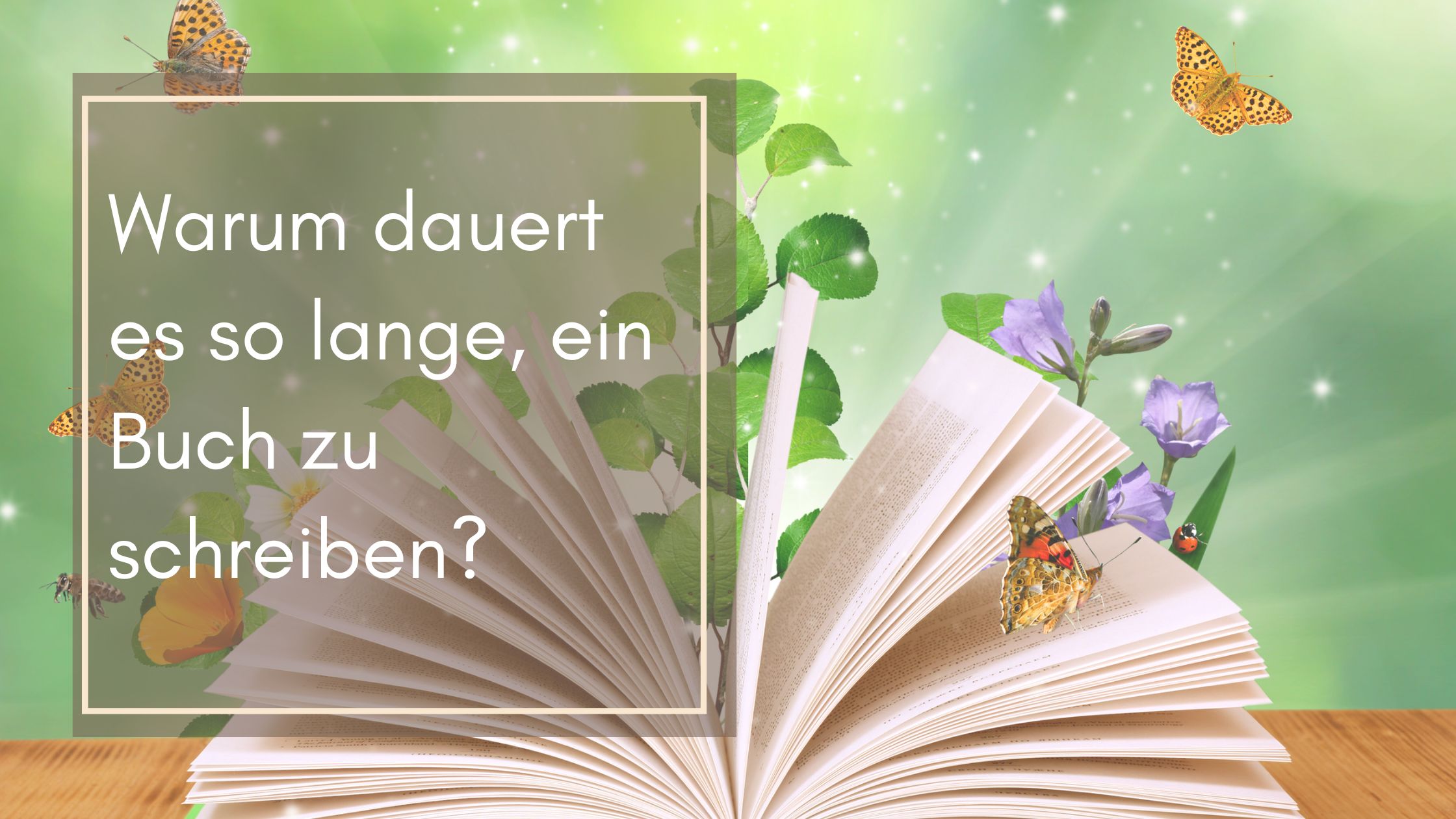 Wie lange dauert es einen Roman zu schreiben?