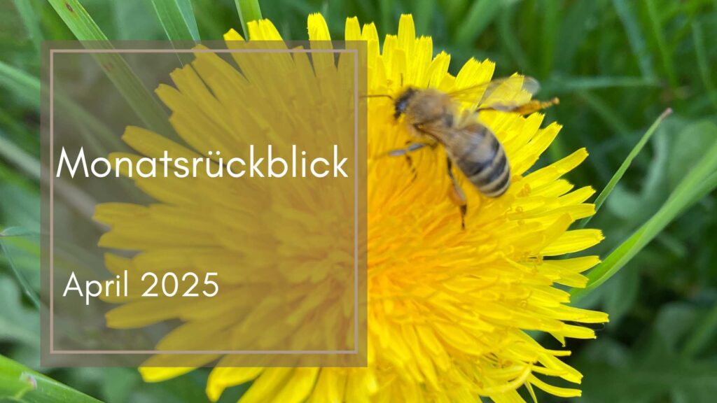 Monatrückblick April 2025