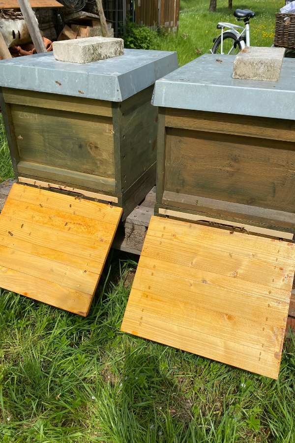 Zwei Zadant Beuten Imkerei