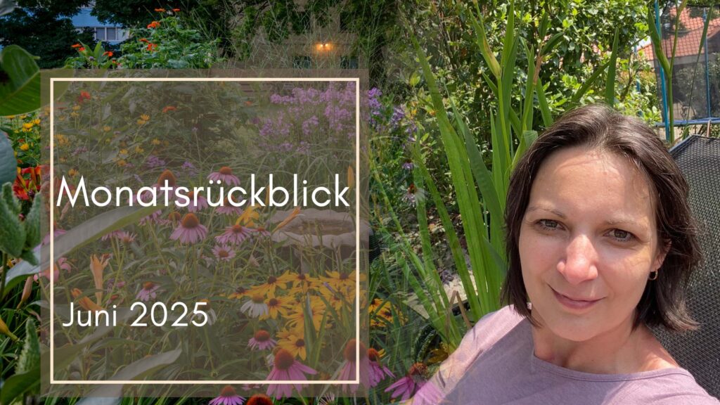 Monatsrückblick Juni 2025