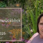 Monatsrückblick Juni 2025