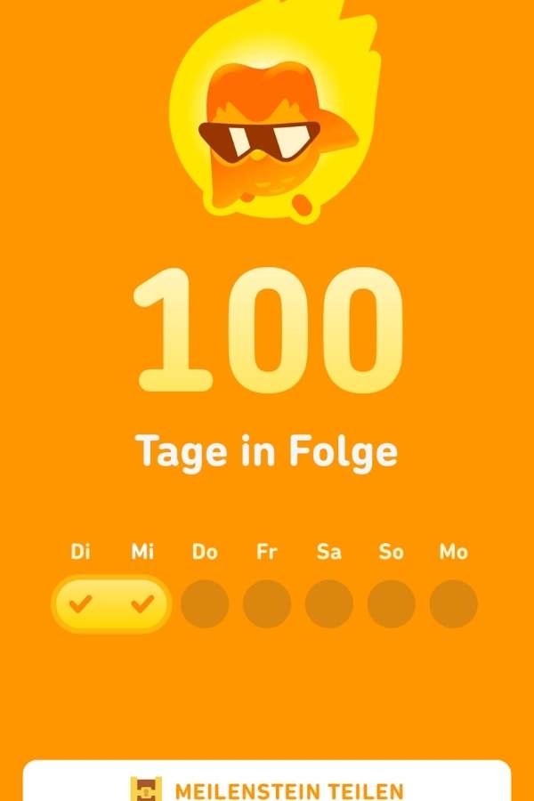 Ich frische mein Französisch mit der Sprachapp Duolingo auf.