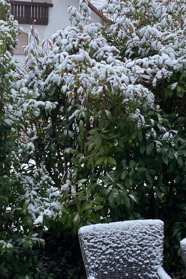 Schnee